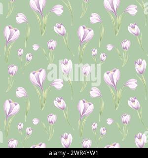 Motif sans couture de crocus violets avec des feuilles sur un fond vert. Illustration d'aquarelle dessinée à la main Spring safran Blossom. Modèle pour fabri Banque D'Images