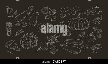 Esquissez des légumes. Citrouille dessinée à la main, carotte et chou. Ensemble de plats végétariens. Récolte naturelle d'automne. Eléments blancs isolés sur fond noir, dessin à la craie. Illustration de produits biologiques vectoriels Illustration de Vecteur