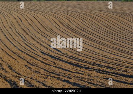 Champs de terre noire pour les rangées labourées, plantées et hilling. Texture au sol. Banque D'Images