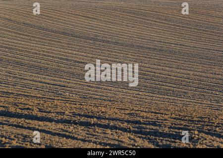 Champs de terre noire pour les rangées labourées, plantées et hilling. Texture au sol. Banque D'Images