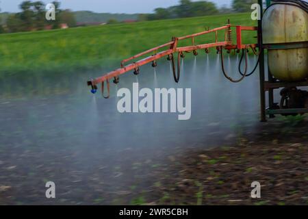 Tracteur pulvérisant des pesticides sur le champ végétal avec un pulvérisateur au printemps. Banque D'Images