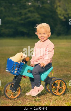 Bébé fille d'un an et demi sur le vélo tricycle avec un ami furet Banque D'Images