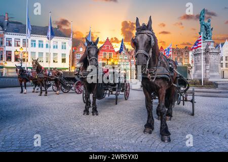Chevaux de calèche de Bruges sur la place du marché au crépuscule, Belgique. Banque D'Images