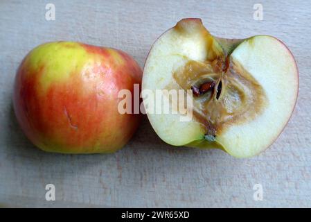 Biologische Mogelpackung : Ein äußerlich fast makelloser Apfel entpuppt sich nach dem Anschneiden als innerlich verfault. *** Emballage biologique trompeur une pomme qui semble presque impeccable à l'extérieur se révèle pourrie à l'intérieur après avoir été coupée Banque D'Images