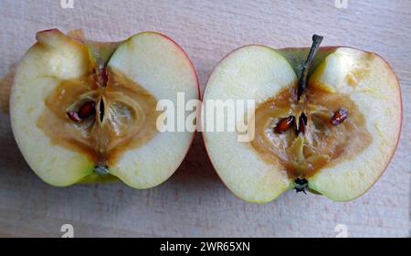 Biologische Mogelpackung : Ein äußerlich fast makelloser Apfel entpuppt sich nach dem Anschneiden als innerlich verfault. *** Emballage biologique trompeur une pomme qui semble presque impeccable à l'extérieur se révèle pourrie à l'intérieur après avoir été coupée Banque D'Images