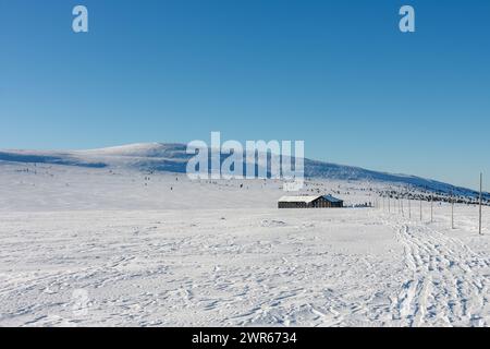 Matin d'hiver, route vers Meadow Hut, montagnes de krkonose. Le long de la route sont de longues barres en bois, marquages touristiques pour la saison d'hiver. Banque D'Images