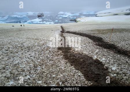 ©PHOTOPQR/VOIX DU NORD/PIERRE ROUANET ; 27/02/2024 ; ANTARCTIQUE, LE 27/02/2024. Croisiere dite d'expédition vers le continent blanc, la Peninsula Antarctique (continent austral, pole sud, Antarctica, South pole, glace, banquise, iceberg), au dela du cercle polaire, par l'operateur touristique francais Exploris (membre de l'IAATO tourisme responsable). Deuxieme jour sur la péninsule antarctique. Port Charcot, ile Booth, Terre de Graham. PHOTO PIERRE ROUANET LA VOIX DU NORD - EXPÉDITION EXPLORIS DANS LA PÉNINSULE ANTARTICA Banque D'Images