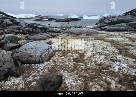 ©PHOTOPQR/VOIX DU NORD/PIERRE ROUANET ; 27/02/2024 ; ANTARCTIQUE, LE 27/02/2024. Croisiere dite d'expédition vers le continent blanc, la Peninsula Antarctique (continent austral, pole sud, Antarctica, South pole, glace, banquise, iceberg), au dela du cercle polaire, par l'operateur touristique francais Exploris (membre de l'IAATO tourisme responsable). Deuxieme jour sur la péninsule antarctique. Port Charcot, ile Booth, Terre de Graham. PHOTO PIERRE ROUANET LA VOIX DU NORD - EXPÉDITION EXPLORIS DANS LA PÉNINSULE ANTARTICA Banque D'Images