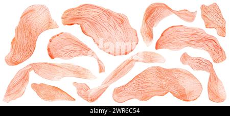 Tranches de gingembre mariné rouge isolées sur fond blanc Banque D'Images