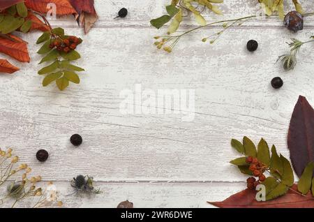 Cadre avec des brindilles et des feuilles d'automne avec espace vide à remplir, table en bois, vue de dessus. Banque D'Images