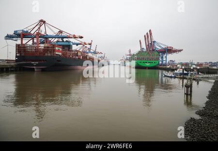 Hambourg, Allemagne. 11 mars 2024. Les porte-conteneurs sont chargés et déchargés dans les terminaux de Burchardkai (CTB) de Hamburger Hafen und Logistik AG (HHLA) et Eurogate (l). Les conséquences des crises mondiales et de la faiblesse de l'économie ont marqué les ports maritimes allemands l'année dernière. L'Office fédéral de la statistique a annoncé lundi à Wiesbaden les chiffres pour 2023. Crédit : Christian Charisius/dpa/Alamy Live News Banque D'Images