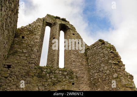 Castledermot Abbey, comté de Kildare, Irlande Banque D'Images