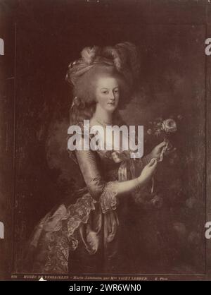 Reproduction photographique d'un tableau d'Elisabeth Vigée-Lebrun, représentant un portrait de la reine Marie-Antoinette d'Autriche, musée de Versailles. - Marie Antoinette, par Mme Vigée Lebrun X. Phot. (Titre sur objet), partie de l'album de l'artiste français., Neurdein Frères, (attribué à), après peinture par : Elisabeth Vigée-le Brun, France, c. 1880 - c. 1900, papier, tirage albumen, hauteur 270 mm × largeur 210 mm, photographie Banque D'Images