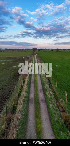 La photo prise au niveau du sol capture l'allure d'une route rurale qui s'évanouit au loin sous un ciel peint aux teintes pastel du crépuscule. Route de campagne embrassée par Twilight Sky : voyage aérien à travers les terres agricoles. Photo de haute qualité Banque D'Images