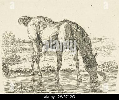 Cheval à boire, imprimeur : Jan Dasveldt, Amsterdam, 1780 - 1855, papier, gravure, hauteur 84 mm × largeur 106 mm, impression Banque D'Images