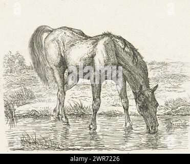 Cheval à boire, imprimeur : Jan Dasveldt, Amsterdam, 1780 - 1855, papier, gravure, hauteur 84 mm × largeur 107 mm, impression Banque D'Images