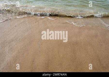 Cette image capture la simplicité et le calme des vagues douces qui rodent contre un rivage sablonneux. L'eau claire passe d'une teinte verdâtre plus profonde à un ton plus clair lorsqu'elle rencontre le sable, ce qui indique l'eau peu profonde près de la plage. Le sable lui-même est lisse avec un éclat humide près du bord de l'eau, montrant le reflux naturel et le flux de la marée. La perspective de la photographie donne au spectateur l'impression de se tenir au bord de l'eau, en regardant vers le bas la vague entrante et la ligne de flottaison qui recule. Vagues douces se lavant à terre sur Sandy Beach. Photo de haute qualité Banque D'Images