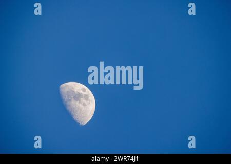 L'image capture le premier quart de phase de la Lune contre un ciel bleu clair pendant la journée. La Lune est détaillée, avec des cratères et maria visibles, contrastant fortement avec l'étendue bleue. La photographie peut avoir été prise à travers un téléobjectif, étant donné l'aspect large et net de la Lune. Le réglage de la lumière du jour est inhabituel pour la photographie lunaire, ce qui rend cette image particulièrement frappante. Premier quart de lune dans Daylight Sky. Photo de haute qualité Banque D'Images