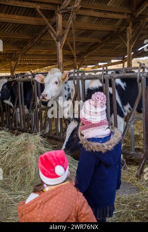 France, Indre et Loire, Sonzay, ferme Gautraie, famille Kuipers, originaire des pays-Bas, installé à Sonzay en 1993. Ils y élèvent des vaches laitières et transforment une partie du lait en beurre et en crème glacée Gouda au lait cru. Photo de Pascal Avenet/ABACAPRESS.COM crédit : Abaca Press/Alamy Live News Banque D'Images