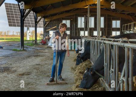 France, Indre et Loire, Sonzay, ferme Gautraie, famille Kuipers, originaire des pays-Bas, installé à Sonzay en 1993. Ils y élèvent des vaches laitières et transforment une partie du lait en beurre et en crème glacée Gouda au lait cru. Photo de Pascal Avenet/ABACAPRESS.COM crédit : Abaca Press/Alamy Live News Banque D'Images