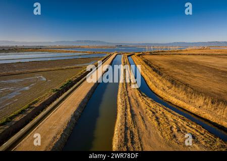 Vue aérienne d'un canal de drainage de rizières près de la zone humide de canal Vell, dans le delta de l'Èbre (Tarragone, Catalogne, Espagne) Banque D'Images