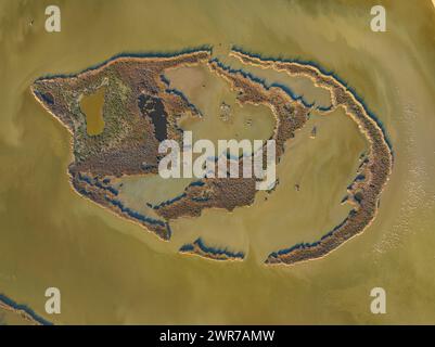 Vue aérienne du Rodell de les Formigues (île des fourmis) dans la zone humide du canal Vell, dans le delta de l'Èbre (Tarragone, Catalogne, Espagne) Banque D'Images