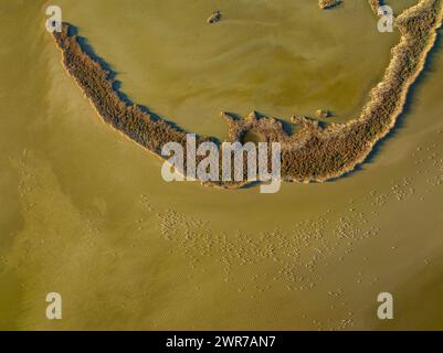 Vue aérienne du Rodell de les Formigues (île des fourmis) dans la zone humide du canal Vell, dans le delta de l'Èbre (Tarragone, Catalogne, Espagne) Banque D'Images