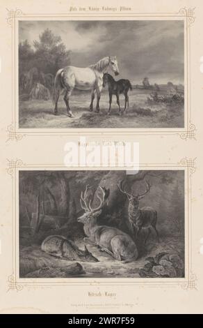 Chevaux dans un pré et cerfs dans une forêt, Bayerische Land-Pferde (titre sur objet), Hirsch-Lager (titre sur objet), album présenté à Louis Ier de Bavière (titre de la série), album König-Ludwigs (titre de la série sur objet), graveur : Carl Straub, après dessin par : Alois Bach, après dessin par : August Schleich, München, 1850 - 1859, papier, hauteur 585 mm × largeur 440 mm, impression Banque D'Images