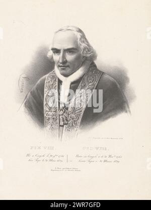 Portrait du pape Pie VIII, Pie VIII / Pio VIII (titre sur objet), imprimeur : Pierre Roch Vigneron, imprimeur : Gottfried Engelmann, éditeur : Vallardi, Paris, 1829, papier, hauteur 355 mm × largeur 271 mm, impression Banque D'Images