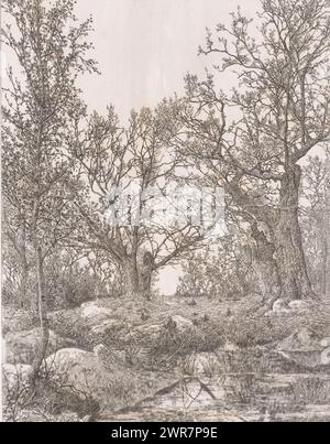 Paysage marécageux avec arbres, imprimeur : Alfred Elsen, 1879, papier, gravure, hauteur 295 mm × largeur 232 mm, impression Banque D'Images