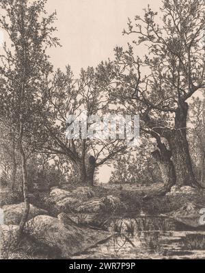 Paysage avec arbres et marais, imprimeur : Alfred Elsen, 1879, papier, gravure, hauteur 290 mm × largeur 235 mm, impression Banque D'Images