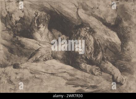 Lions avec un petit, imprimeur : Armand Heins, Belgique, 1866 - 1910, papier, gravure, hauteur 431 mm × largeur 603 mm, impression Banque D'Images