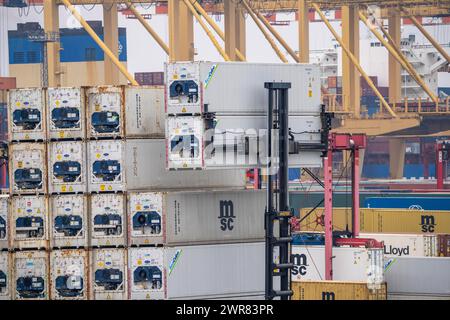 Terminal à conteneurs dans le port maritime de Bremerhaven, Eurogate Container terminal avec près de 50 portiques à conteneurs, grues, sur une longueur de plus de 4 KM Banque D'Images