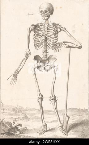 Représentation anatomique de l'homme, anatomie. (Titre sur objet), numéroté PL en haut à droite. I., imprimeur : Robert Benard, France, 1744 - 1777, papier, gravure, hauteur 371 mm × largeur 244 mm, impression Banque D'Images