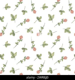 Motif aquarelle sans couture avec des feuilles vertes et des fleurs de trèfle. Modèle botanique pour vêtements de bébé, emballage minimaliste, produits écologiques. Banque D'Images