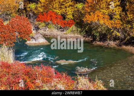 Eau de rivière cristalline aux riches nuances bleues entourée par la forêt d'automne Banque D'Images