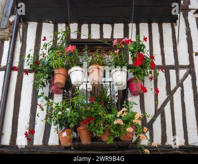 Un petit balcon orné d'une multitude de pots et de pots avec des plantes dans une maison traditionnelle en bois dans la belle villa de la Alberca, Espagne Banque D'Images