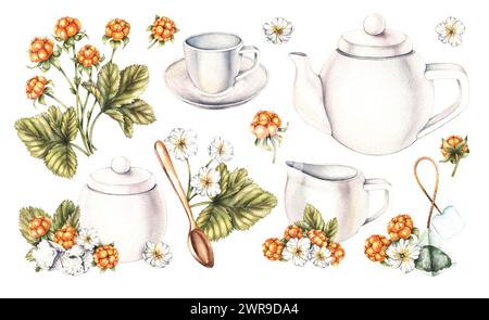 Service à thé blanc aquarelle, sachets de thé, sucre et mûres nuageuses isolés sur blanc. Set de thé pour la conception d'emballages, étiquettes, produits alimentaires, etc Banque D'Images