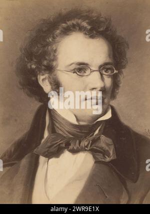 Reproduction photo d'un portrait peint de Franz Schubert par Carl Jaeger, cette photo fait partie d'un album., Friedrich Bruckmann, d'après la peinture par : Carl Jaeger, 1870 - 1890, carton, tirage à l'albumen, hauteur 134 mm × largeur 96 mm, photographie Banque D'Images