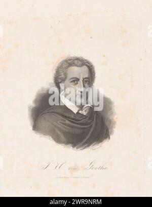 Portrait de Johann Wolfgang von Goethe, imprimeur : Friedrich Weber, éditeur : Wilhelm Creuzbauer, imprimeur : Allemagne, éditeur : Karlsruhe, 1823 - 1882, papier, gravure sur acier, hauteur 152 mm × largeur 128 mm, impression Banque D'Images