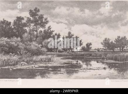 Des vaches dans un paysage fluvial, Une rivière dans un paysage. Dans le fond il y a des vaches dans le pré., imprimeur : Adolf Carel Nunnink, après peinture par : Julius Jacobus van de Sande Bakhuyzen, imprimeur : weduwe Elias Spanier & Zn, la Haye, 1863 - 1883, papier, hauteur 267 mm × largeur 350 mm, impression Banque D'Images