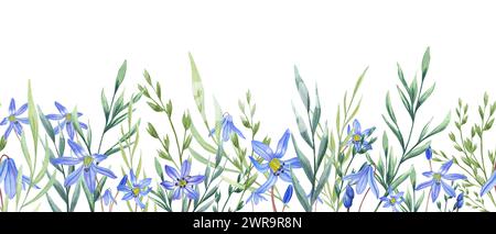 Fleurs de Scilla et herbes sauvages. Pré de printemps, plantes de jardin. Bannière horizontale sans couture aquarelle. Copier l'espace pour le texte. Illustration Banque D'Images