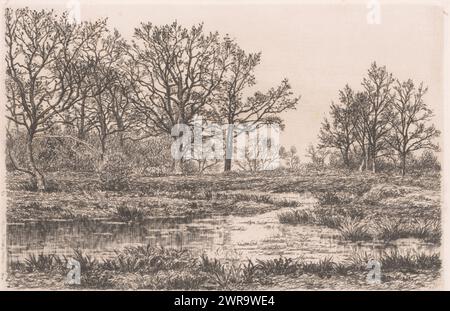 Paysage marécageux avec arbres, imprimeur : Alfred Elsen, (signé par l'artiste), 1860 - 1910, papier, gravure, hauteur 160 mm × largeur 237 mm, impression Banque D'Images