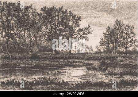 Paysage marécageux avec arbres, imprimeur : Alfred Elsen, (signé par l'artiste), 1860 - 1910, papier, gravure, hauteur 160 mm × largeur 238 mm, impression Banque D'Images