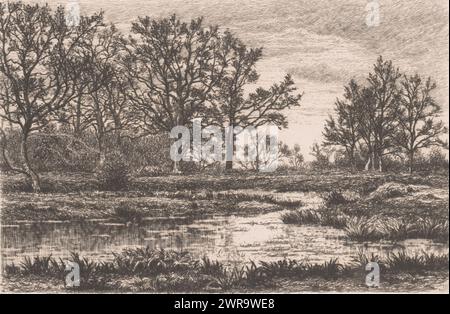 Paysage marécageux avec arbres, imprimeur : Alfred Elsen, (signé par l'artiste), 1860 - 1910, papier, gravure, hauteur 160 mm × largeur 236 mm, impression Banque D'Images