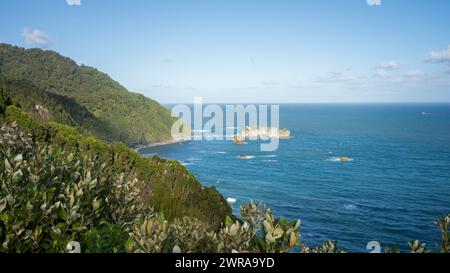 Vue sur le beau paysage côtier avec des piles de mer et la côte verdoyante, Nouvelle-Zélande. Banque D'Images