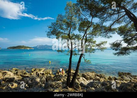 Platja Formentor, Cape Formentor, Port de Pollença, Serra de Tramuntana, Majorque, Majorque, Îles Baléares, Espagne Banque D'Images