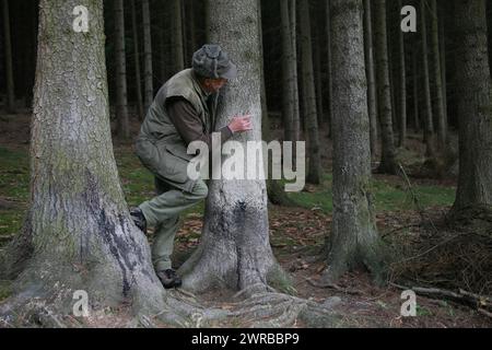 Chasseur à un arbre soi-disant à peinture, un arbre sur lequel le cerf roux (Cervus elaphus) aime frotter leur fourrure, Thuringe, Allemagne Banque D'Images