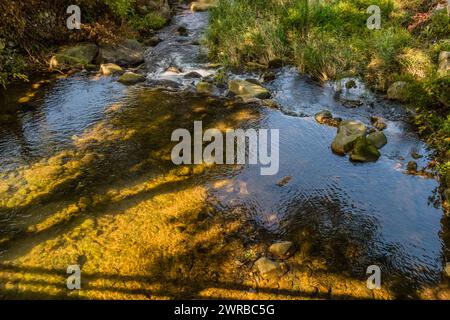 Ruisseau avec de l'eau claire et des galets reflétant la lumière dorée du soleil, en Corée du Sud Banque D'Images