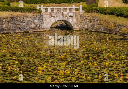 Étang tranquille rempli de nénuphars et d'un reflet d'un pont en pierre voûté, en Corée du Sud Banque D'Images